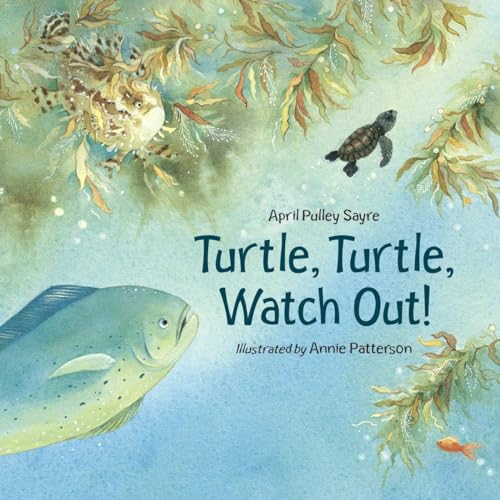 Turtle, Turtle, Watch Out! von Charlesbridge